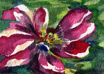 "Garden Beauty" by Mary Lou Lindroth, Rockton IL - Watercolor - SOLD